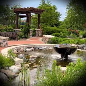 The Newsroom at PlymouthMN Profile image